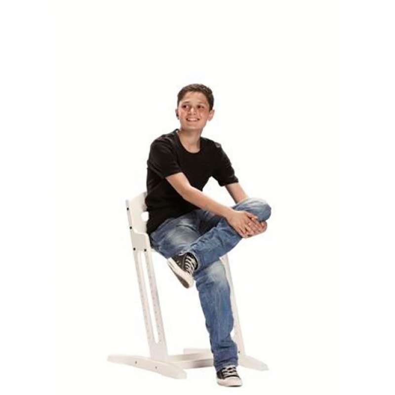 BABYDAN CADEIRA ALTA EVOLUTIVA DANCHAIR